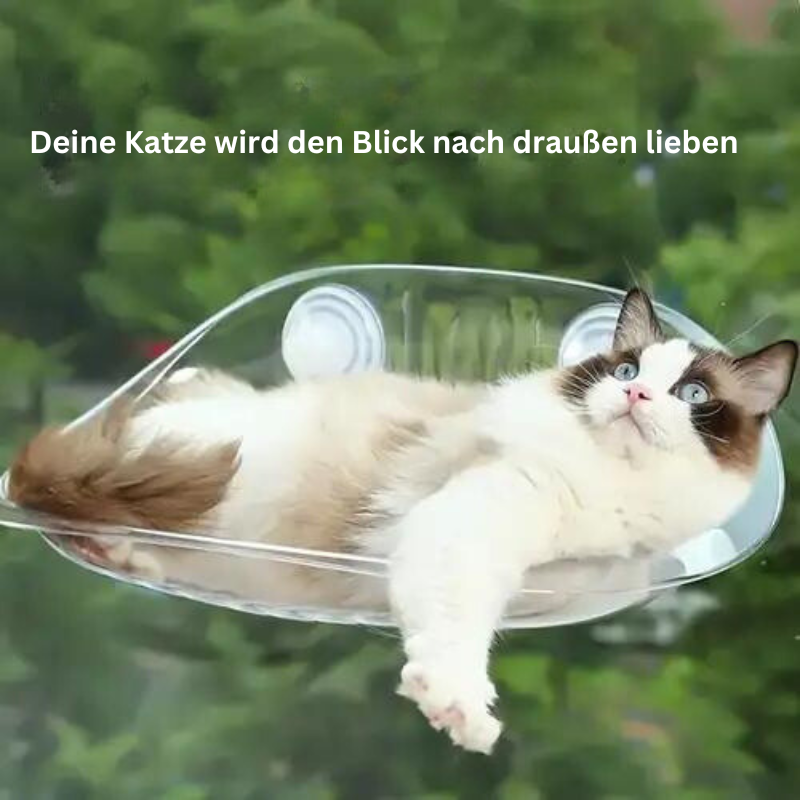 Himmelbett für Katzen